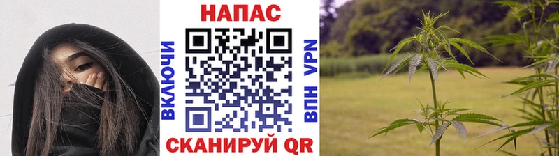 Бошки Шишки тримм  Сорск 